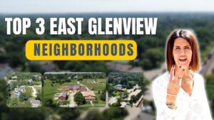 Top 3 East Glenview Neighborhoods By Top Agent Vittoria Logli